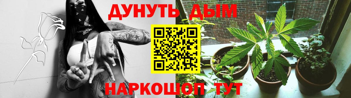 Бошки Шишки ГИДРОПОН  Шишки марихуана конопля  Рубцовск  Конопля AK-47  Шишки марихуана VHQ  Вход с VPN 